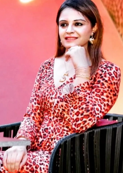 Leopard Print V-Neck Dress